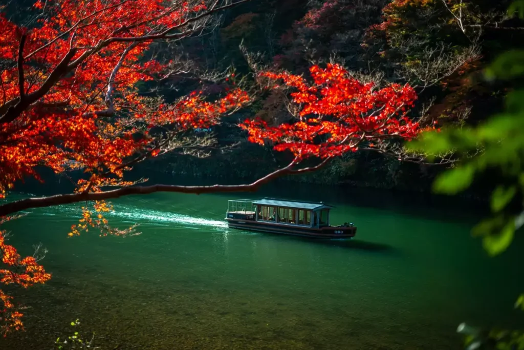Arashiyama Bamboo Forest