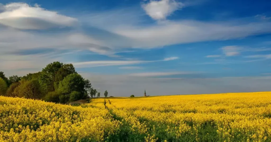Best Places to Visit in Poland