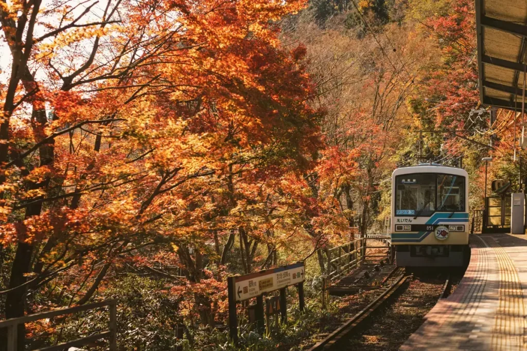 Global Travel Destinations for a Peaceful Break