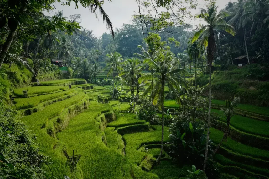 Global Travel Destinations for a Peaceful Break