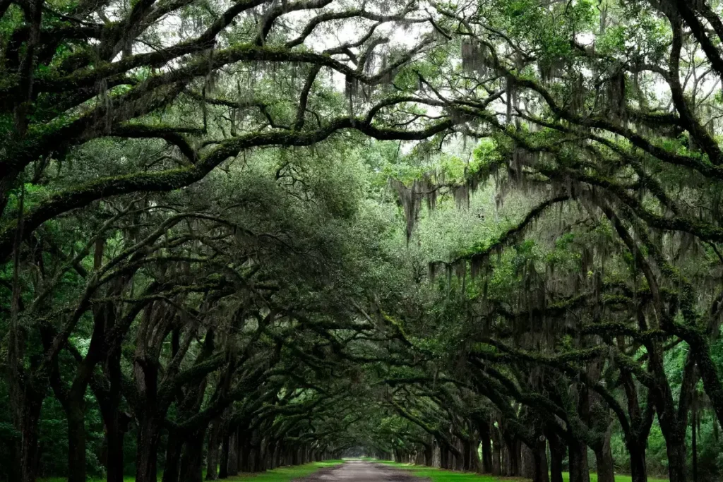 Places to Visit in October