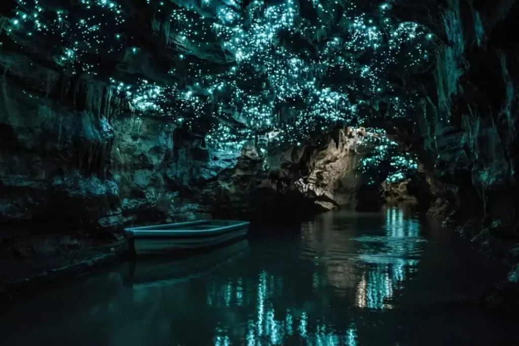 Waitomo Glowworm Caves