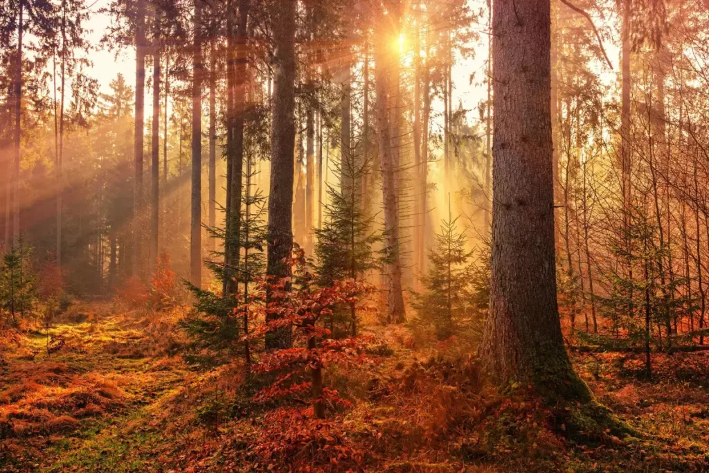 fall travel destinations
