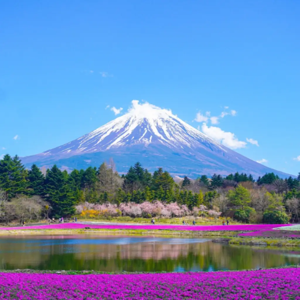 visit japan