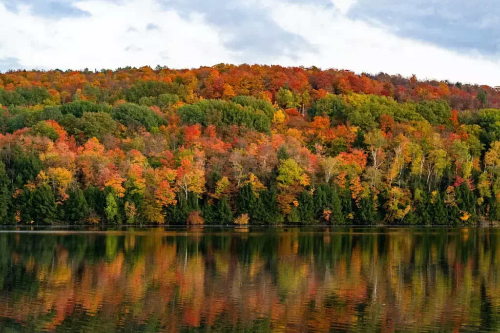 new england