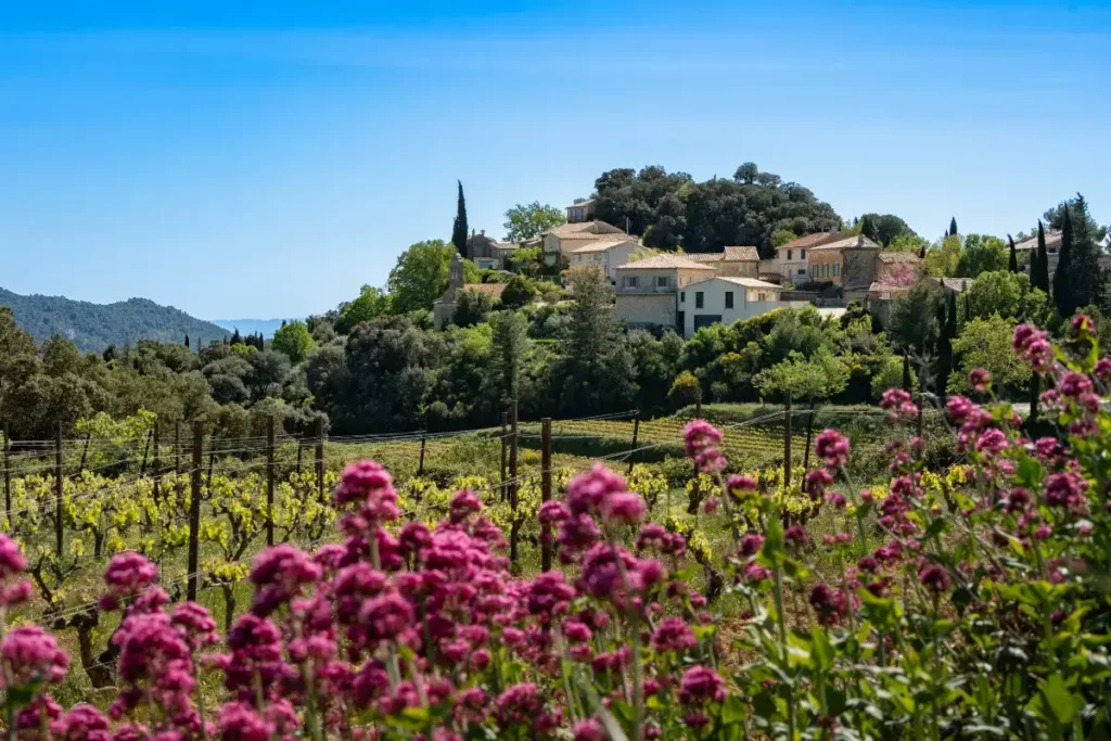 provence