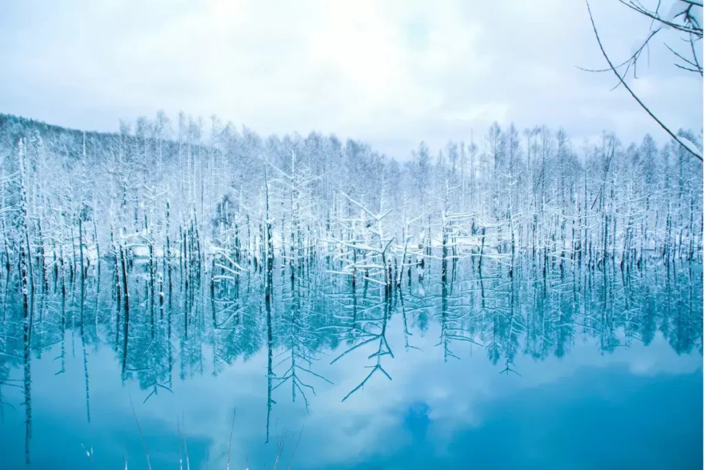 places to visit in japan