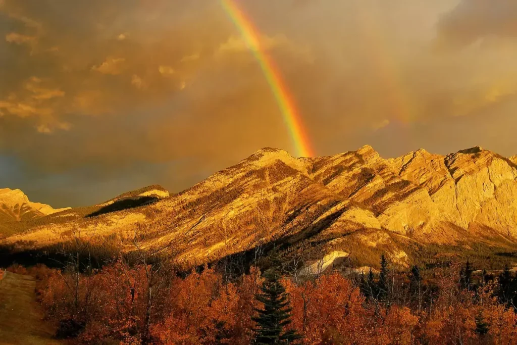 the canadian rockies