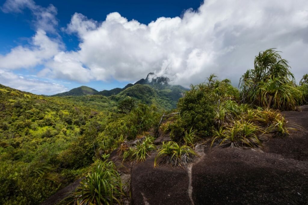 Copolia Trail